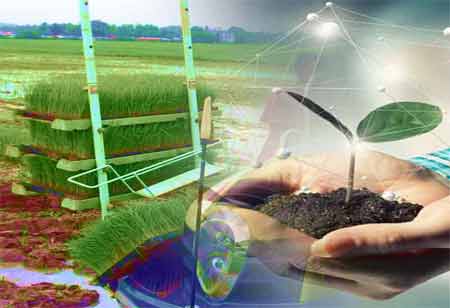 The Advantages of Online Tutoring vs. YouTube Classes